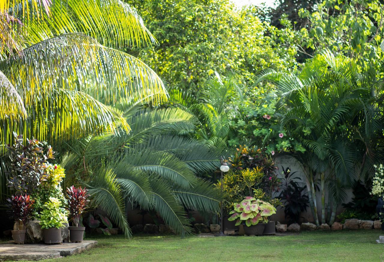 Hotel Hacienda De Исамаль Экстерьер фото